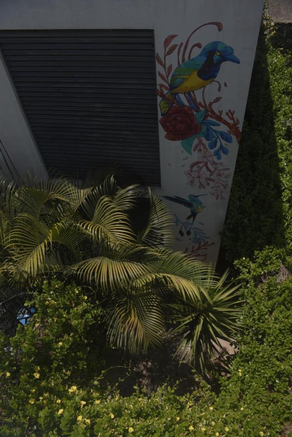 Apartmán Departamentos Internazionale Mérida Exteriér fotografie